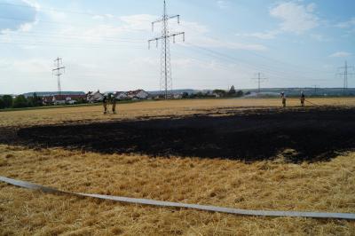 Feld geraet in Freiberg am Neckar in Brand